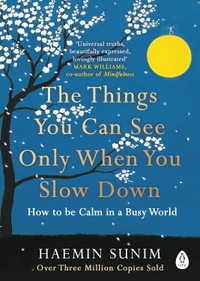 Cover of "The Things You Can See Only When You Slow Down"