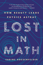 Cover of "Lost in Math"